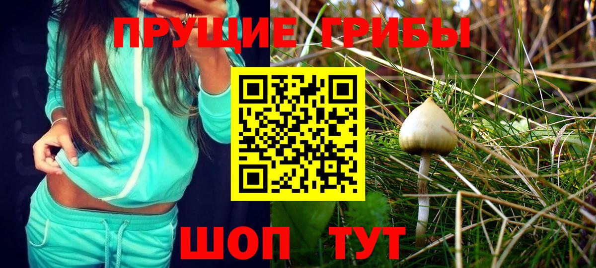Галлюциногенные грибы GOLDEN TEACHER Ирбит